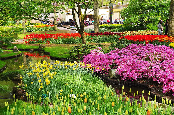 Keukenhof mở cửa cho khách du lịch bắt đầu từ tuần cuối cùng của tháng 3 đến giữa tháng 5.