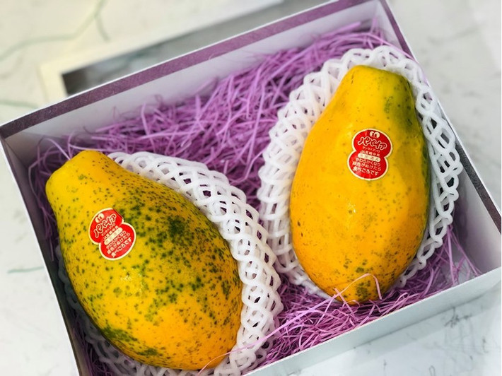 Theo thông tin trên Doisongvietnam, thời gian gần đây trên thị trường xuất hiện loại đu đủ mini Nhật Bản có giá đến cả triệu đồng/kg. Ảnh: Doisongvietnam.