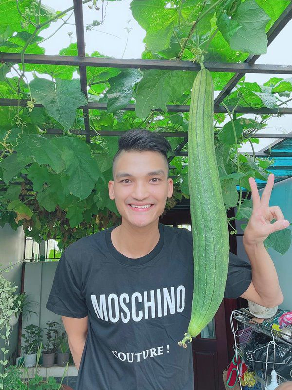 Mạc Văn Khoa còn trồng của một giàn mướp xanh mướt. Ảnh: FBNV