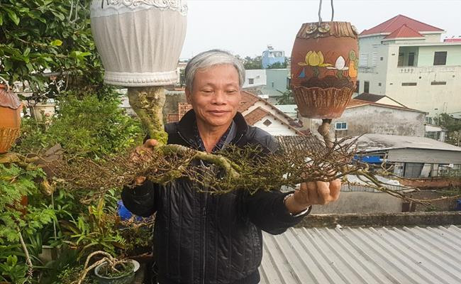 Năm 2010, trong lần ra thăm Quảng Bình, ông Thạnh phát hiện một gốc cây mọc ở trong động thu hút. Từ đó, ông thấy trong lối chơi bonsai còn thiếu một hình tượng mọc ngược và bắt đầu vào cuộc nghiên cứu. Ảnh: Dân Việt