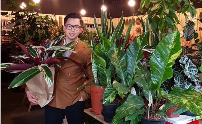 Ban đầu, Việt Đàm trồng vài chậu rau thơm (bạc hà, rosemary, thyme...), cây tùng thơm hay phong lan với mức giá bình dân. Ảnh: Viet Dam