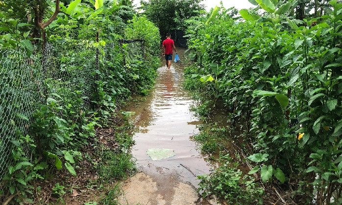 Các lối mòn tại bãi giữa cũng đã ngập gần hết.