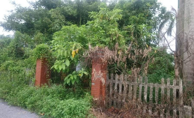 Vì biến cố, bố mẹ Việt Anh phải rời quê để vào Bình Dương. Tuy nhiên, căn nhà ở quê vẫn được giữ lại theo mong muốn của Việt Anh. Ảnh: Tiền phong