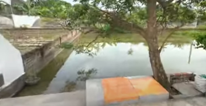 Phía trước căn nhà có một cái ao, nơi hai anh em Nhâm Mạnh Dũng bơi và bắt ốc khi còn nhỏ. Ảnh chụp màn hình Ted Trần TV