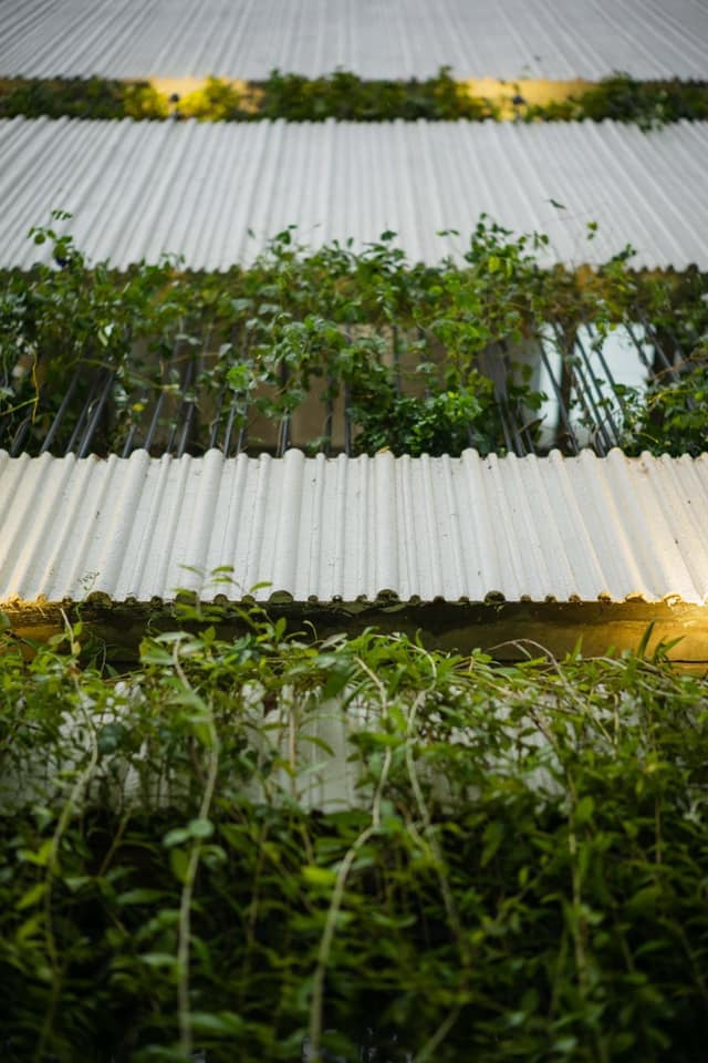 Mặt tiền nhà phố được kiến trúc sư BOWa + TNA thiết kế phân mảng đơn giản, đặc của tường và rỗng của cây xanh.