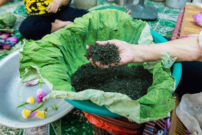 Chè ướp chung với gạo sen thường là chè Tân Cương (Thái Nguyên) cánh nhỏ, thấm hương vừa độ. Ảnh: Dân Việt