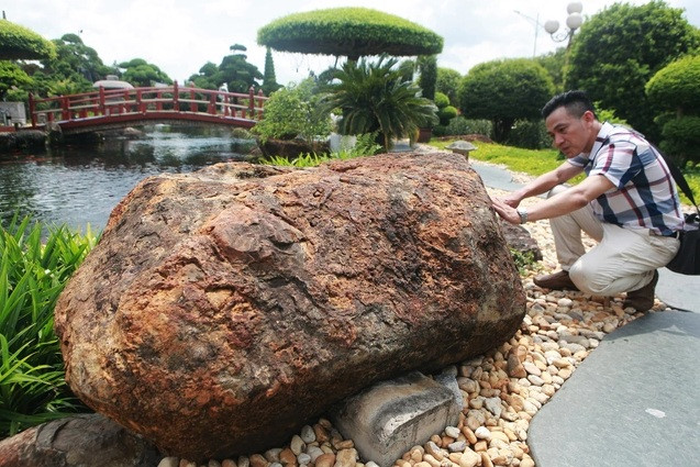 Theo giới chơi sinh vật cảnh, ngay cả ở Nhật Bản cũng khó có hồ cá Koi nào đẹp như hồ của ông Dũng. Ảnh: Dân trí