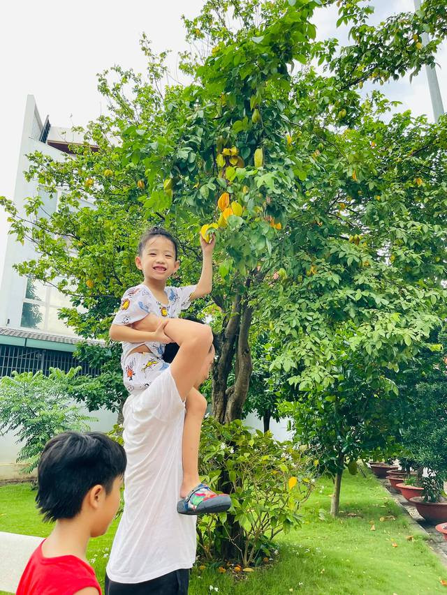 Những ngày TP HCM giãn cách, cả nhà MC Ốc Thanh Vân thường cùng nhau thu hoạch cây ăn quả trong vườn.