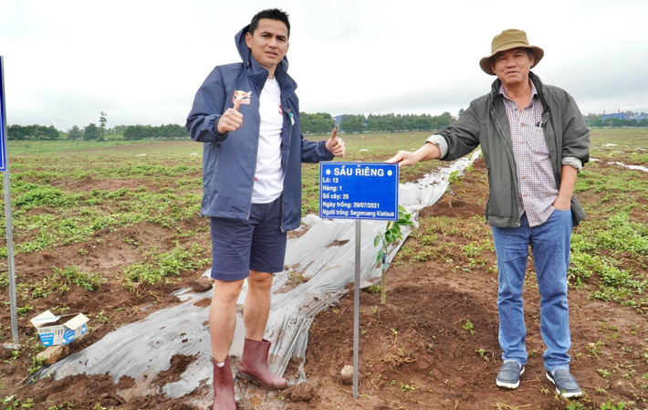 Mới đây, ông Đoàn Nguyên Đức (bầu Đức) - Chủ tịch HĐQT Công ty CP Hoàng Anh Gia Lai (HAGL) tiết lộ đã và đang hoàn thiện khoảng 1.000 ha sầu riêng, dự kiến thu hoạch từ năm 2023. Ảnh: HAGL FC