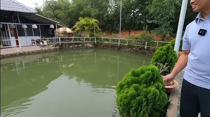 Bên trong trang trại, mẹ Vương Phạm cũng cho người đào ao nuôi cá, xây thêm các mái chòi để nghỉ mát và trồng rất nhiều cây trái. Ảnh: YouTube Vương Phạm
