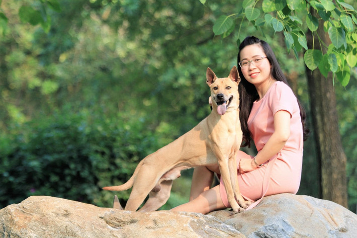 Bắt đầu tìm hiểu về chó Phú Quốc từ năm 2009, sau hơn 10 năm, chị Hà đang sở hữu 5 trang trại lớn nhỏ ở Hà Nội với hơn 100 cá thể chó Phú Quốc. Anh: FB Le Ha
