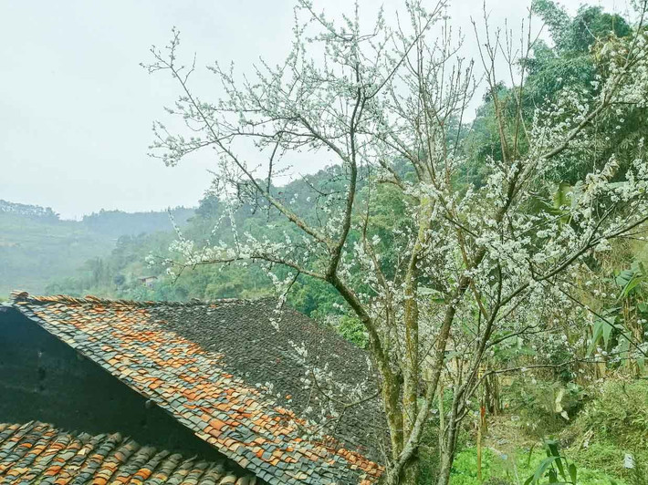 Nét cổ kính, xưa cũ tạo nên sức hấp dẫn trong ngôi làng cổ Thiên Hương. Ảnh: Van Hni