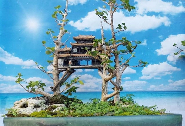 Các tác phẩm bonsai, tiểu cảnh siêu mini của ông Phúng hầu hết là cây sam hương, một loại cây lá nhỏ, dễ chăm sóc, có mùi thơm, được nhiều người ưa chuộng. Ảnh: Dân trí