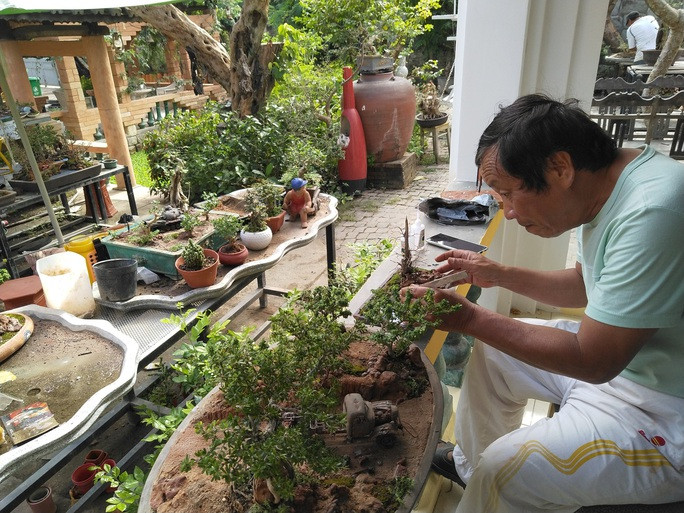 Năm 2021, ông Nguyễn Văn Phúng (ngụ thôn Phước Thượng, xã Phước Đồng, TP Nha Trang) được Tổ chức Liên minh Kỷ lục Thế giới thông báo công nhận “Bộ sưu tập bonsai và tiểu cảnh mini có số lượng nhiều nhất thế giới". Ảnh: Nlđ