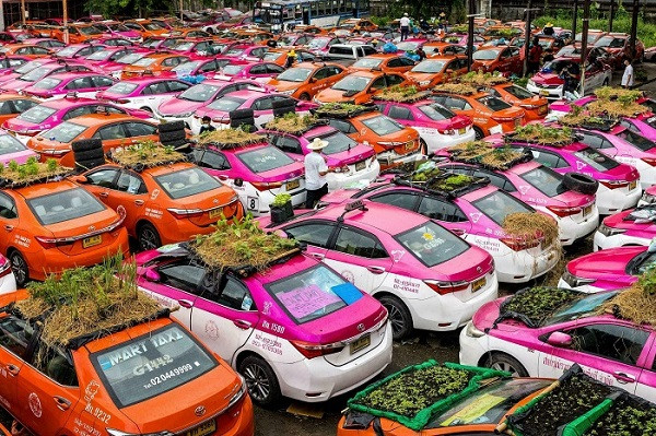 Theo giám đốc điều hành Thapakorn Assawalertkul, hợp tác xã taxi Ratchapruk và Bovorn Taxi hiện chỉ còn lại 500 chiếc xe chạy trên các đường phố của Bangkok. Trong đó có đến 2.500 chiếc không được hoạt động tại một số địa điểm trong thành phố. Ảnh: France24