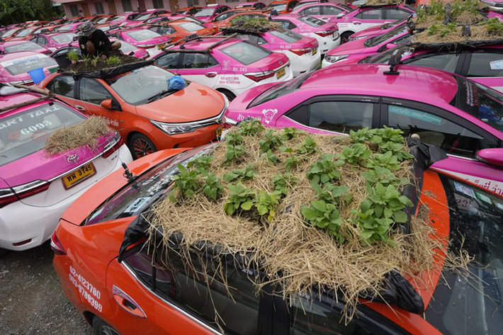 Ảnh hưởng từ đại dịch khiến các hãng taxi không thể hoạt động bình thường, thêm vào đó là giá taxi quá thấp dẫn đến thu nhập của các tài xế giảm đáng kể. Ảnh: somosprensa