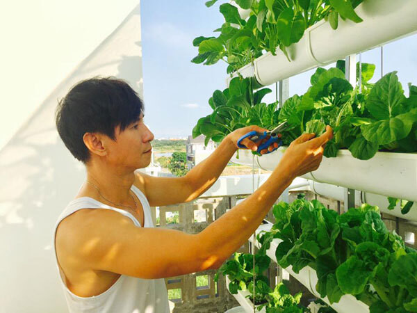 Vợ chồng Lý Hải - Minh Hà cũng đầu tư hàng chục triệu đồng để làm vườn rau thủy canh trên sân thượng. Ảnh: FBNV.