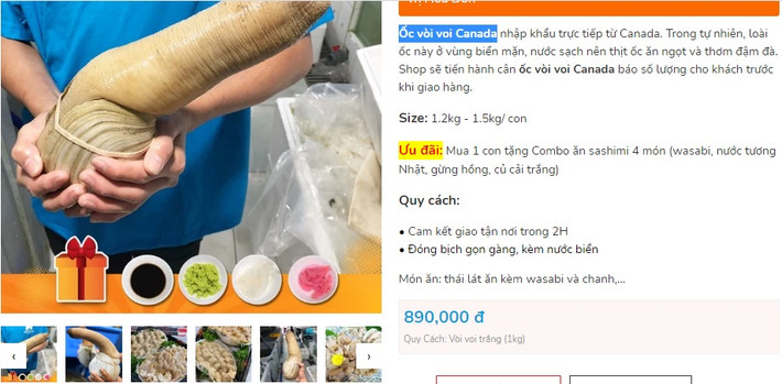 Thời gian gần đây, ốc vòi voi Canada (hay tu hài Canada) được rao bán ở mức khá thấp, từ 800.000 - 1,2 triệu đồng/kg, tùy loại. Mức giá này áp dụng với loại tu hài được nhập khẩu trực tiếp từ Canada, có trọng lượng từ 1-3kg. Ảnh chụp màn hình
