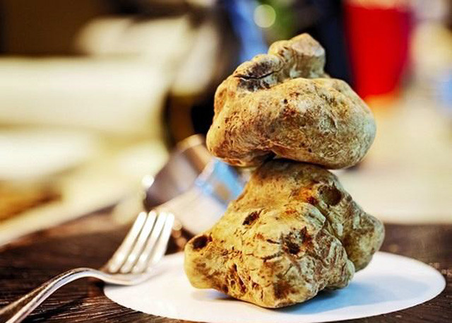 Vì lẽ đó, bạn hầu như sẽ không bao giờ tìm thấy nấm truffles ở nơi nào khác ngoài những nhà hàng hạng sang.