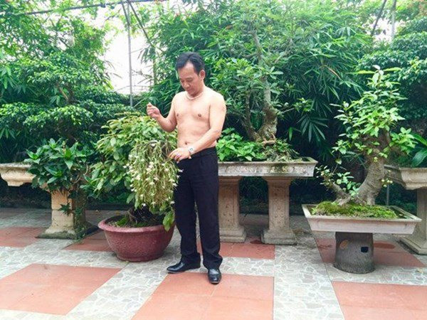 Tại đây, nghệ sĩ Tiến Quang trồng nhiều cây cảnh, cây ăn quả. Ảnh: Vietnamnet.