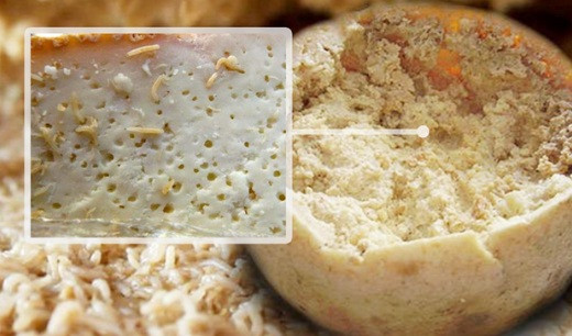 Phô mai giòi là món ăn được các gia đình người địa phương coi trọng, thường được đưa ra trong các dịp lễ hay đám cưới. Tuy nhiên, họ không sản xuất trên quy mô lớn do loại phô mai này bị cấm theo luật an toàn thực phẩm của EU. Ảnh: Gourmio.
