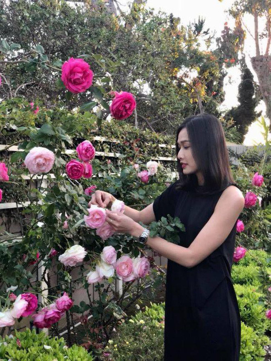 Hoa hậu Phụ nữ Việt Nam qua ảnh 2006 - Dương Mỹ Linh cũng sở hữu một vườn hồng rực rỡ trong căn nhà ở Mỹ.