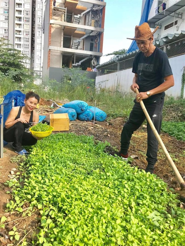 Vườn rau xanh mướt của ông bà ngoại Subeo.