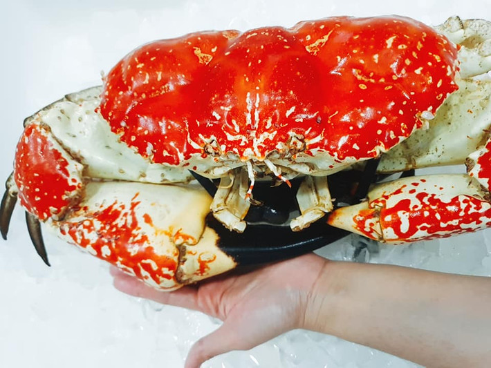Năm 2017, cua Tasmania Úc lần đầu xuất hiện tại Việt Nam gây xôn xao vì trọng lượng siêu khủng, giá từ 6-7,5 triệu đồng/kg. Ảnh: Facebook.
