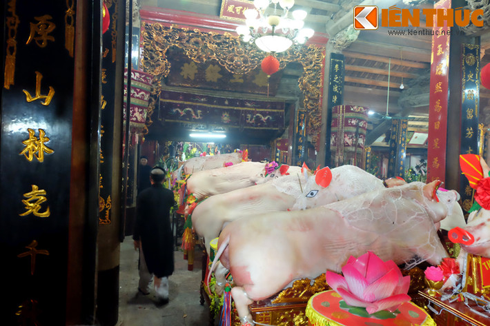 Lợn phải được trang trí đẹp, lớp da sạch sẽ, không có vết thâm. Ông Lợn nào đẹp nhất sẽ được đặt phía trong cùng, sát nơi thờ Thành Hoàng làng.