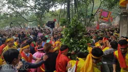Hàng nghìn thanh niên đã reo hò, lao vào cướp giò trầu cau bất chấp sự ngăn cản của lực lượng công an tại hội đền Gióng ngày mùng 6 Tết (2/2). Ảnh: Tin tức.