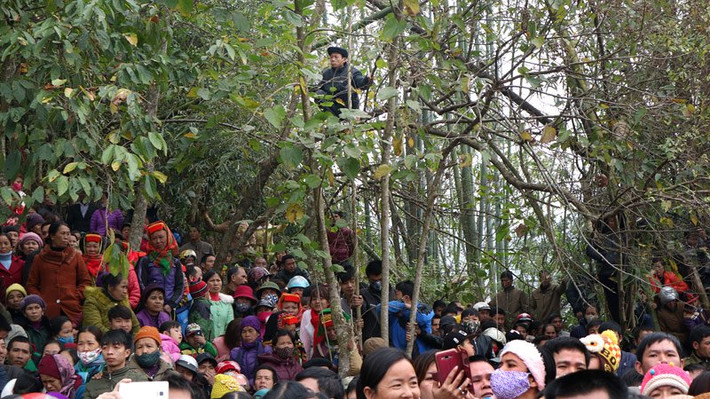 Thời điểm này các lễ hội 2017 đang diễn ra trên các địa phương khắp cả nước. Người đàn ông leo lên cây để xem rõ lễ tế ở lễ hội Ná Nhèm (xã Trấn Yên, huyện Bắc Sơn, tỉnh Lạng Sơn).