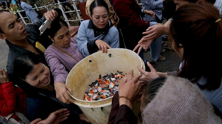Sáng 5/2 (mồng 9 tháng Giêng âm lịch), hàng nghìn người từ các tỉnh, thành đã đổ về bến sông trước cửa đình làng Bát Tràng (Gia Lâm - Hà Nội) phóng sinh cá. Tuy nhiên, dư luận nóng thông tin, cá phóng sinh ra sông Hồng là cá dữ. Ảnh: Vietnamnet.