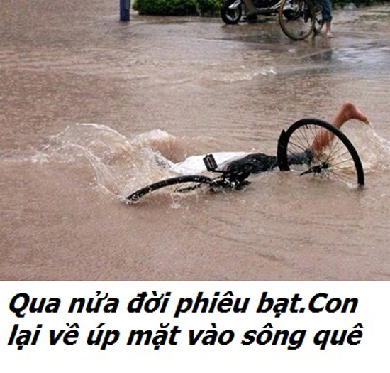 Đen đủi đấy.