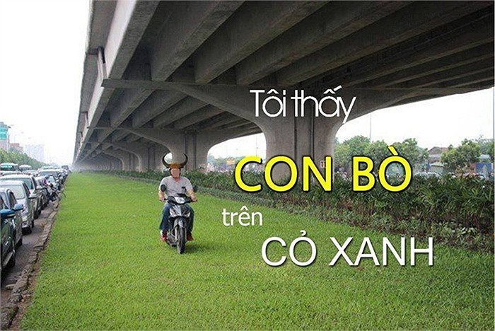 Ý thức tham gia giao thông kém chính là lý do khiến chàng trai này trở thành đối tượng bị dân mạng chế ảnh liên tục.