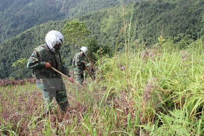 Khi nhìn thấy người bị tai nạn bom mìn, cần nhanh chóng hãy gọi người đến cứu giúp. Ảnh hoạt động rà phá bom mìn tại Việt Nam. (Ảnh: TTXVN)