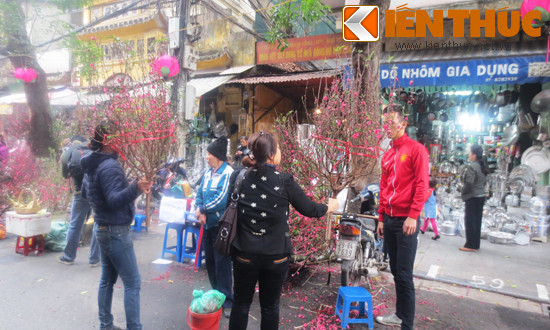 Các loại hoa tươi được bán tại đây cũng có giá khá "mềm" so với nhiều điểm bán trên thị trường. Đào phai, đào bích chỉ từ 160.000 – 400.000 đồng/cành, hoa thủy tiên bán với giá 150.000 - 200.000 đồng/chậu.