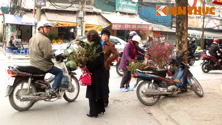 Những cành đào nhỏ xinh được chọn mua nhiều vì giá rẻ, vẻ đẹp đặc trưng lại phù hợp với không gian nhà đô thị, vốn không rộng rãi.