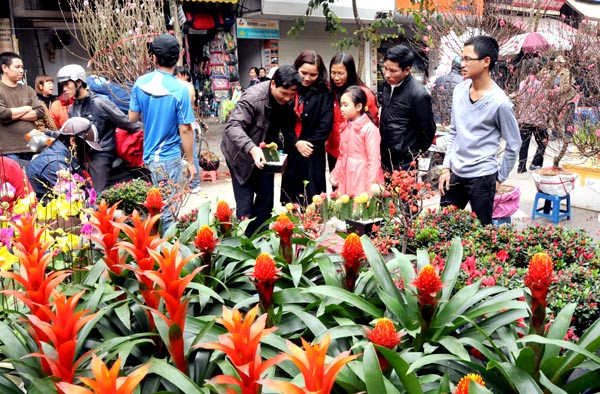 Những chợ hoa, làng hoa Tết ngày nào, nay vẫn có đào, quất nhưng lạ mắt hơn với nhiều loại hoa mới, hình dáng độc đáo.