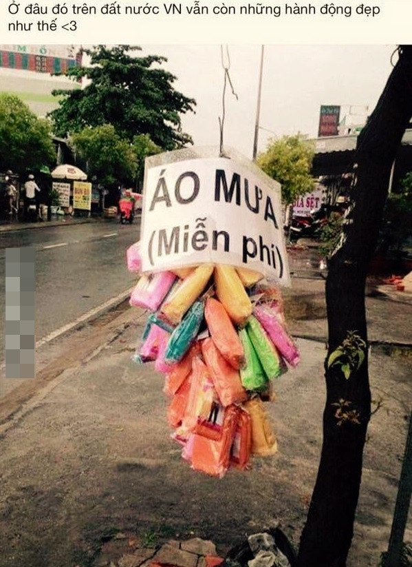 Không cần quá nhiều lời miêu tả dài dòng, bức hình ấy cũng đã đủ khiến bất cứ ai tan chảy.