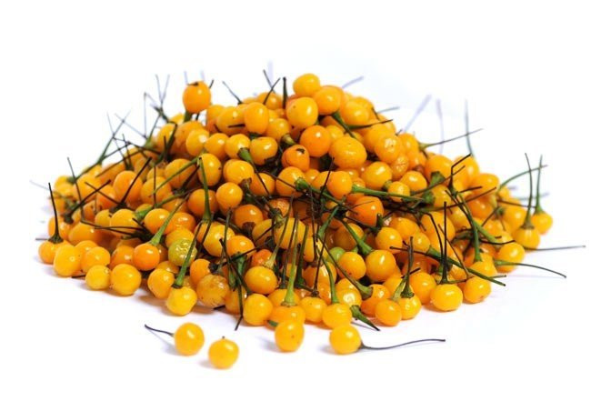 Với giá khoảng 25.000 - 35.000 USD/kg (hơn 570 - 811 triệu đồng), ớt sừng Aji Charapita có nguồn gốc từ phía Bắc của Peru, được xem là loại ớt đắt nhất thế giới.