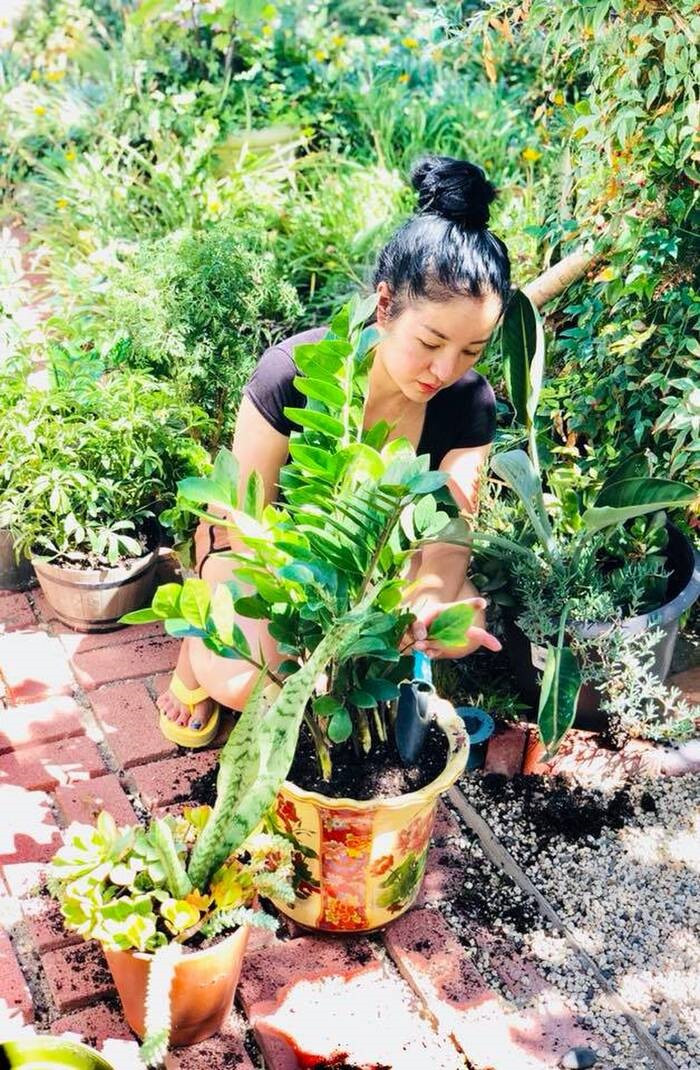 Thời gian rảnh rỗi, nữ danh hài dành vài tiếng để tưới cây, chăm sóc hoa cỏ trong vườn.