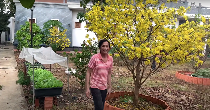 Danh hài Hoài Linh thừa nhận mình có thú chơi mai nên thường chăm sóc cây những lúc rảnh.