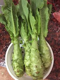 Thay vì cành lá sum uê như các loại rau miền xuôi, ngó xuân lại có một đoạn gốc dài. Ngó xuân có thể luộc hoặc thái mỏng rồi xào với thịt trâu. Khi ăn, ngó xuân có vị ngọt rõ rệt của rau củ.