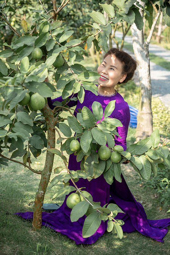 Vườn cây trái trĩu quả trong tại biệt phủ của Trần Thành Trung.