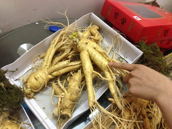 Trong đó, nhân sâm Hàn Quốc tươi được nhiều khách hàng ưa chuộng là quà biếu Tết. Giá loại nhân sâm này dao động từ 2,4 - 3,5 triệu đồng/kg, tùy theo kích thước. Ảnh: Caythuocquy.