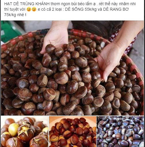 Thời gian gần đây, tại nhiều chợ cóc ở Hà Nội và chợ mạng bán tràn lan hạt dẻ được cho là Trùng Khánh, Sapa với giá phổ biến từ 50.000 - 60.000 đồng/kg.
