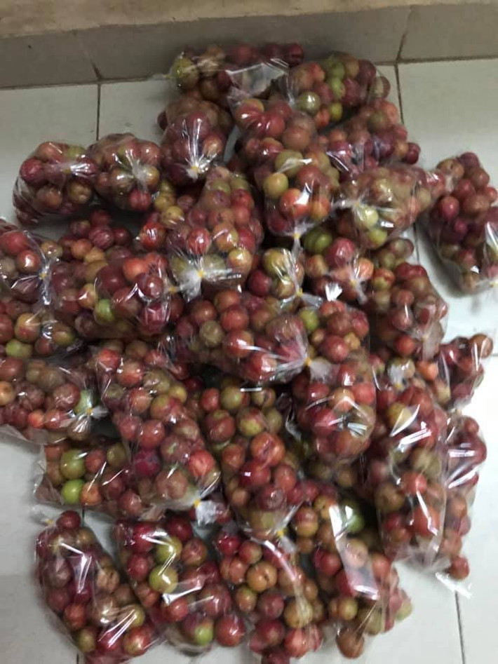 Chị Hoa cho biết, không phải ngày nào cũng có hàng nên khi hàng về thường không có dư. Mỗi lần chị Hoa chỉ lấy được vài chục kg, đủ chia cho đơn đã đặt trước.