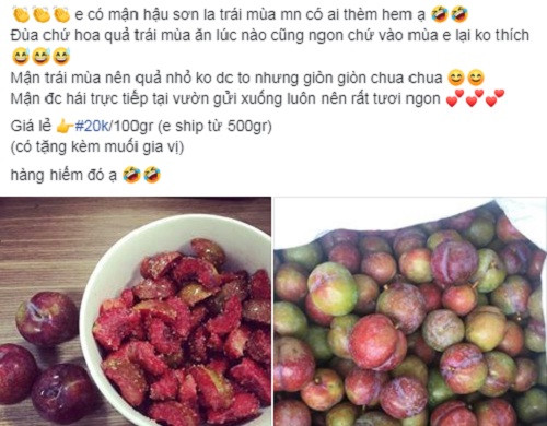 Gần đây, trên các chợ mạng xuất hiện nhiều người rao bán mận trái mùa với giá từ 140.000 - 200.000 đồng/kg.