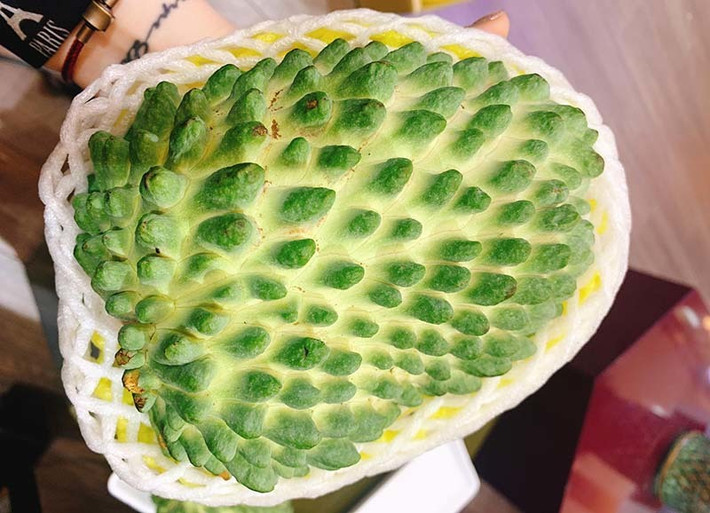 Cô Mai (Hà Đông, Hà Nội) chia sẻ, cô hỏi nhiều cửa hàng trái cây nhập khẩu nhưng không có. Cô phải nhờ người bạn ở Xuân Đỉnh (Bắc Từ Liêm) mua hộ khoảng 1 tuần mới có hàng.