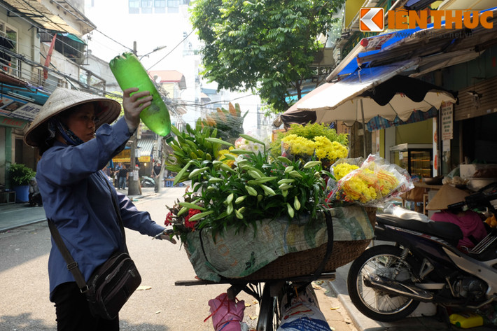 Theo người bán hàng, hoa loa kèn chủ yếu là giống kèn ta với bông nhỏ và ngắn hơn kèn tây.